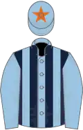 LIGHT BLUE and DARK BLUE STRIPES, light blue sleeves, light blue cap, orange star