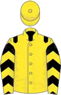Yellow, black epaulets, chevrons on sleeves