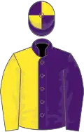 Purple and yellow (halved), quartered cap