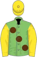 Light green, large brown spots, yellow sleeves and cap