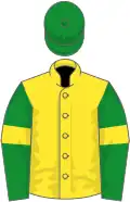 Yellow, green sleeves, yellow armlets, green cap