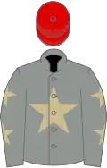 Grey, beige star, grey sleeves, beige stars, red cap