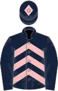Dark blue and pink chevrons, dark blue sleeves, dark blue cap, pink diamond