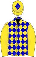 Yellow, blue diamonds on body and diamond on cap