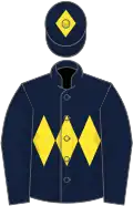 Dark blue, yellow triple diamond and diamond on cap