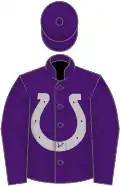 Purple, silver horseshoe, purple cap