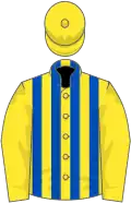 Yellow and royal blue stripes, yellow sleeves and cap