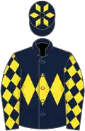 Dark blue, yellow triple diamond, diamonds on sleeves and cap