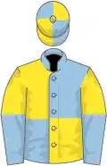 Light blue and yellow (quartered), yellow and light blue halved sleeves