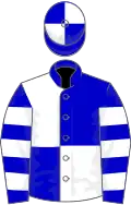 Blue and white (quartered), hooped sleeves, quartered cap