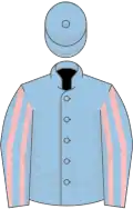 Light blue, brown stripe and armlets