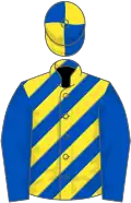 Royal blue and yellow diagonal stripes, royal blue sleeves, quartered cap