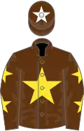 Brown, yellow star and stars on sleeves, brown cap, white star