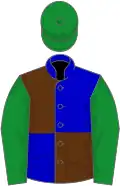 Blue and brown (quartered), green sleeves and cap