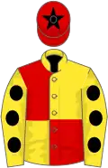 Yellow and red (quartered), yellow sleeves, black spots, red cap, black star