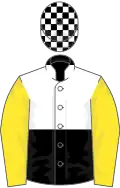 White and Black (halved horizontally), check cap, Yellow sleeves