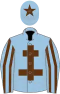Light blue, brown cross of lorraine, striped sleeves and star on cap