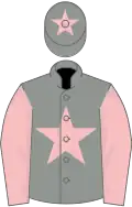 Grey, pink star, sleeves and star on cap