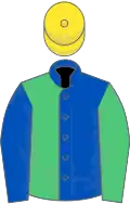 Royal blue and emerald green halved, sleeves reversed, yellow cap