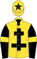 Yellow, black cross of lorraine, black sleeves, yellow armlets, yellow cap, black star