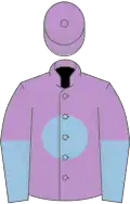 Mauve, light blue disc, halved sleeves