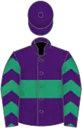 Purple, emerald green hoop, emerald green and purple chevrons on sleeves