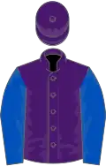 Purple, royal blue sleeves