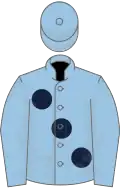 Light blue, large dark blue spots