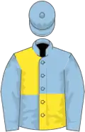 Light blue and yellow (quartered), light blue sleeves and cap