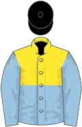 Yellow and light blue halved horizontally, light blue sleeves, black cap