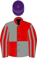 Red and grey quartered, striped sleeves, purple cap