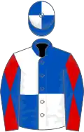 Royal blue and white (quartered), red and royal blue diabolo on sleeves
