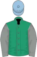 Emerald green, grey sleeves, light blue cap