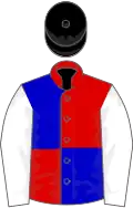 Red and blue (quartered), white sleeves, black cap