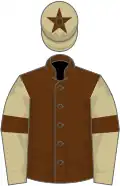 Brown, beige sleeves, brown armlets, beige cap, brown star