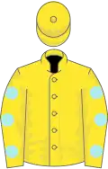 Yellow, pale blue spots on sleeves