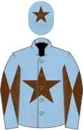 Light blue, brown star, diabolo on sleeves and star on cap