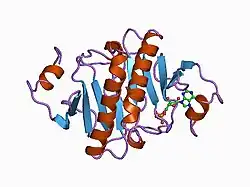 1av5: PKCI-SUBSTRATE ANALOG
