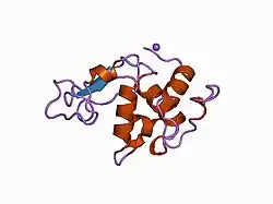 1b7o: VERIFICATION OF SPMP USING MUTANT HUMAN LYSOZYMES