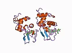 1bb5: HUMAN LYSOZYME MUTANT A96L COMPLEXED WITH CHITOTRIOSE