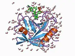 1bck: HUMAN CYCLOPHILIN A COMPLEXED WITH 2-THR CYCLOSPORIN