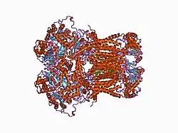 1bgy: CYTOCHROME BC1 COMPLEX FROM BOVINE