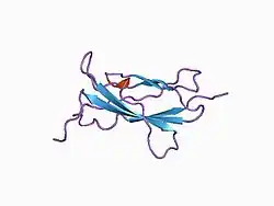 1bj8: THIRD N-TERMINAL DOMAIN OF GP130, NMR, MINIMIZED AVERAGE STRUCTURE