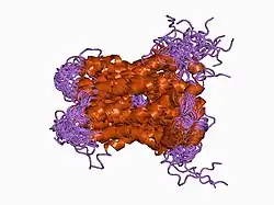 1by1: DBL homology domain from beta-PIX