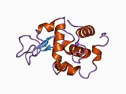 1c43: MUTANT HUMAN LYSOZYME WITH FOREIGN N-TERMINAL RESIDUES