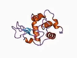 1c46: MUTANT HUMAN LYSOZYME WITH FOREIGN N-TERMINAL RESIDUES