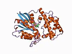 1cip: GI-ALPHA-1 SUBUNIT OF GUANINE NUCLEOTIDE-BINDING PROTEIN COMPLEXED WITH A GTP ANALOGUE