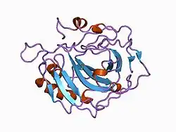 1cnb: COMPENSATORY PLASTIC EFFECTS IN THE REDESIGN OF PROTEIN-ZINC BINDING SITES
