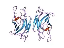 1czv: CRYSTAL STRUCTURE OF THE C2 DOMAIN OF HUMAN COAGULATION FACTOR V: DIMERIC CRYSTAL FORM
