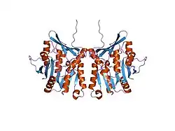 1d2g: CRYSTAL STRUCTURE OF R175K MUTANT GLYCINE N-METHYLTRANSFERASE FROM RAT LIVER